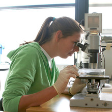 Studentin am Mikroskop