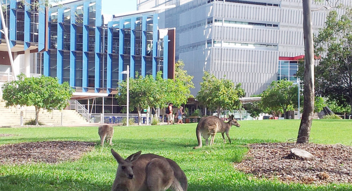 Eine Ansicht der University of the Sunshine Coast