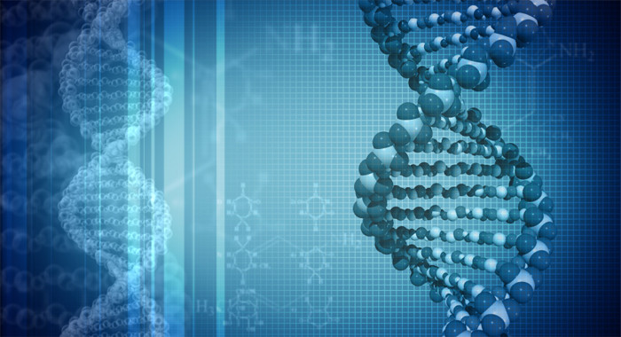 DNA-Fingerprinting