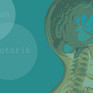 Kognition, Sensorik, Motorik