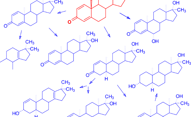 Der vollständige Leitfaden zum Verständnis von hormone steroide