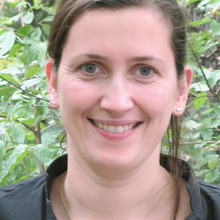 Dr. Anna-Maria Liphardt