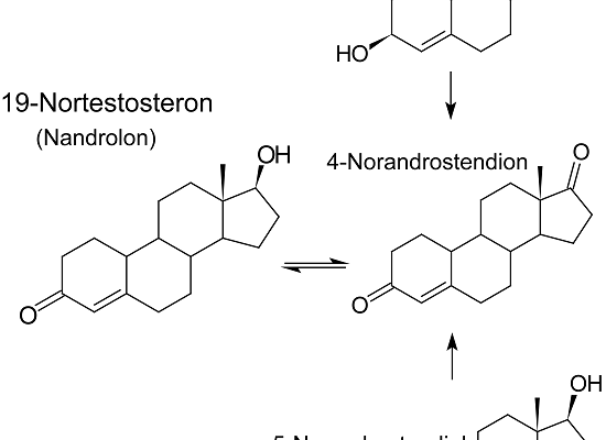 Metenolon tablets (primobolan oral) Shortcuts - Der einfache Weg