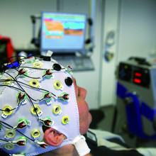 Institut für Bewegungs- und Neurowissenschaft