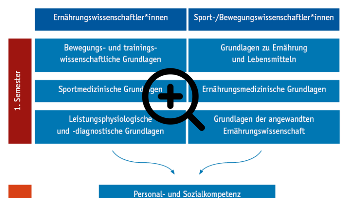 Grafik Curriculum für Sport-/Bewegungs- und Ernährungswissenschaftler*innen