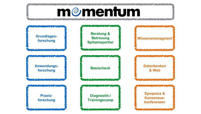 Arbeitsschwerpunkte momentum