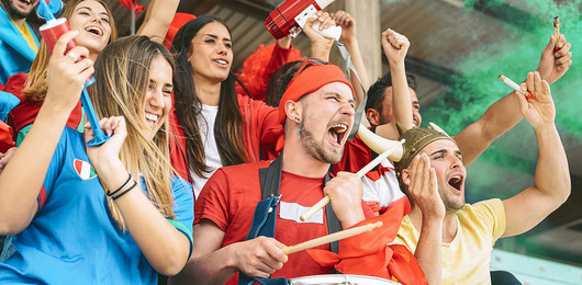 Fans jubeln im Stadion