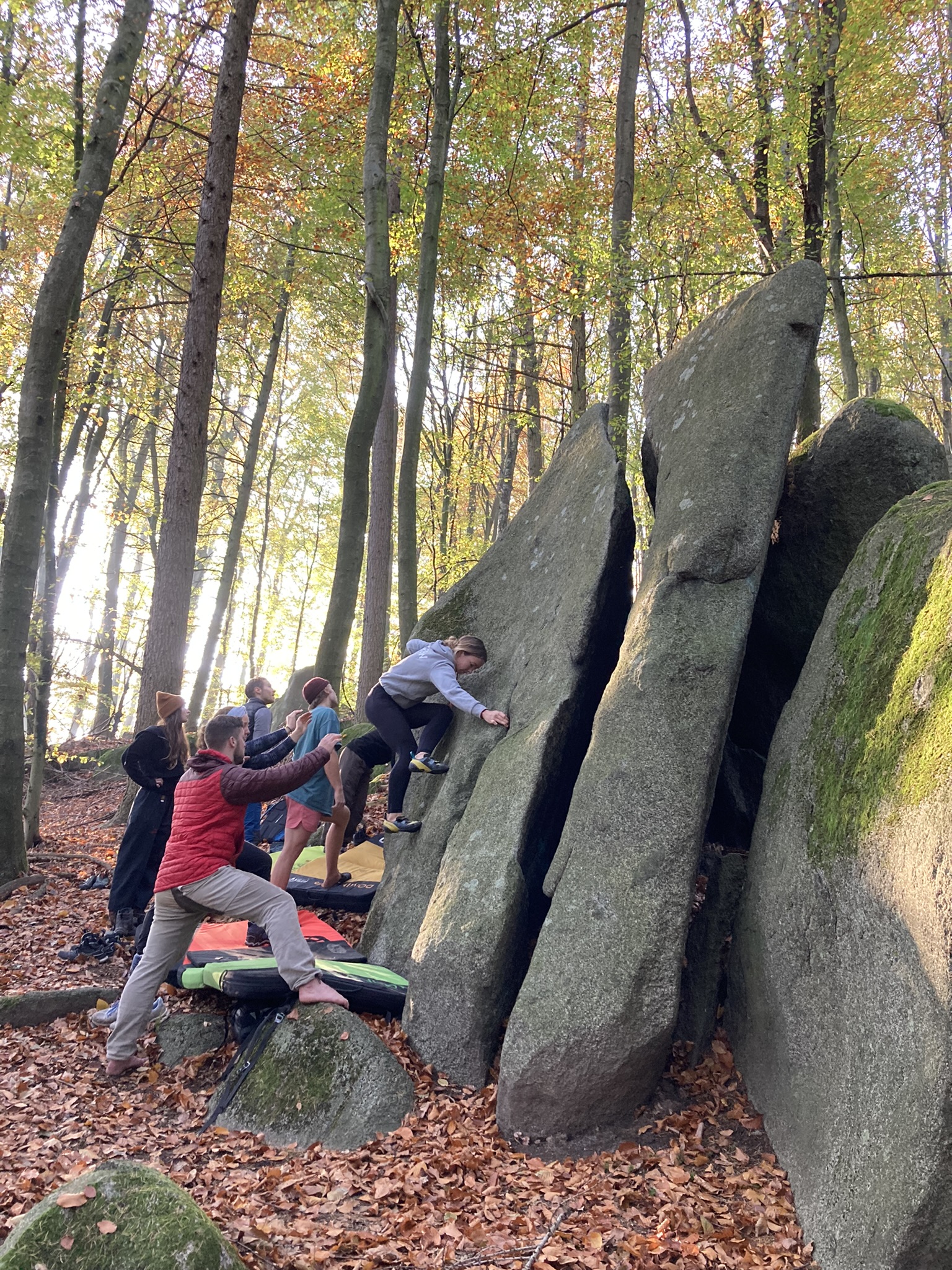 Mehrere Personen klettern an großen, spitzen Felsplatten im Wald, umgeben von herbstlichen Bäumen
