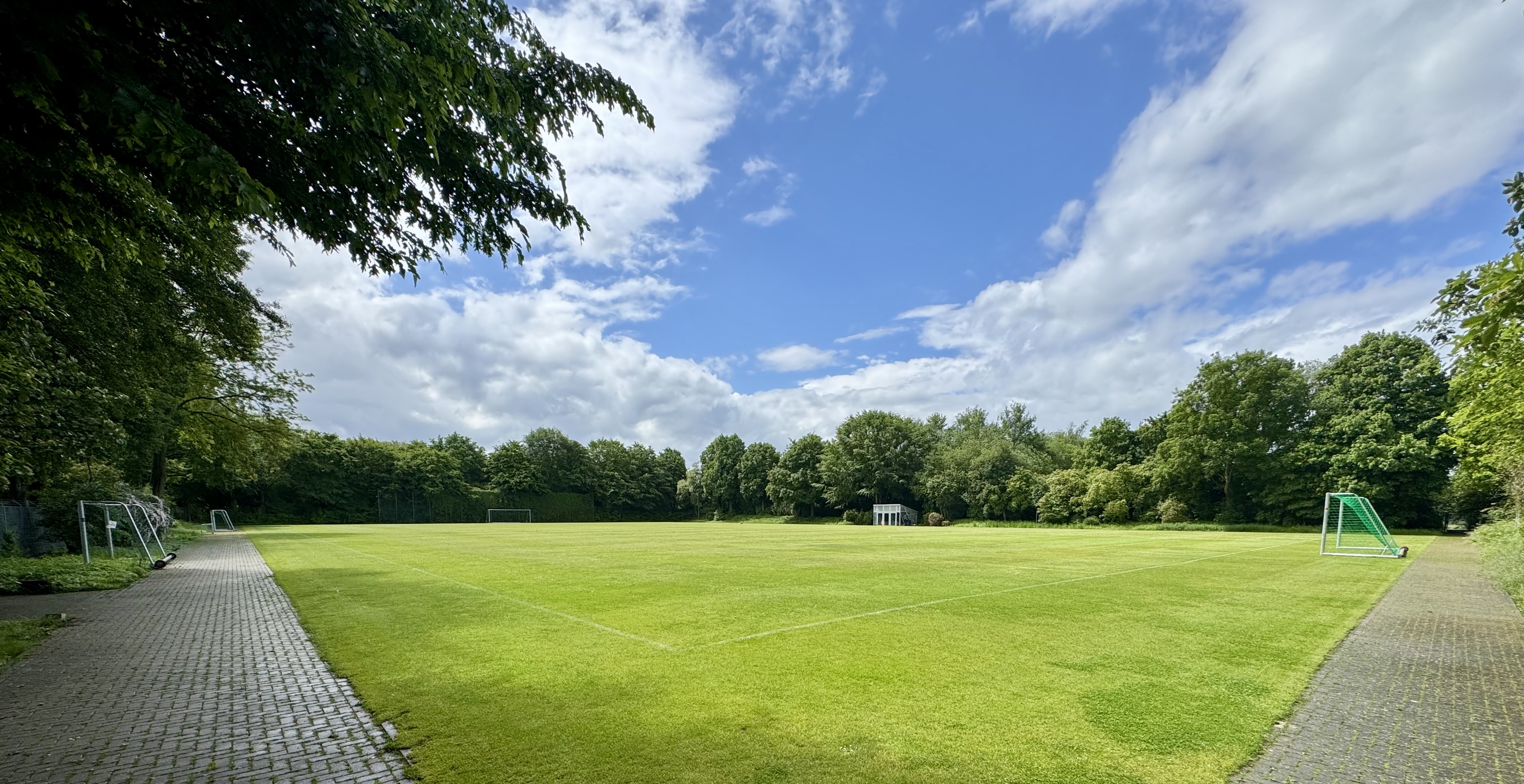Naturrasenplatz am Salzburger Weg mit vier Toren. Bäume umgeben den Fußballplatz.
