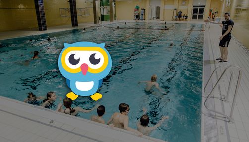 Logo "die eule und das schwimmen" und im hintergrund ein schwimmbecken mit vielen schwimmschüler*innen
