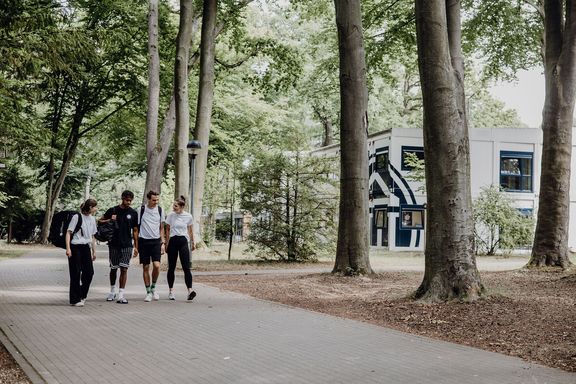 Studierende gehen in einer Reihe nebeneinander her
