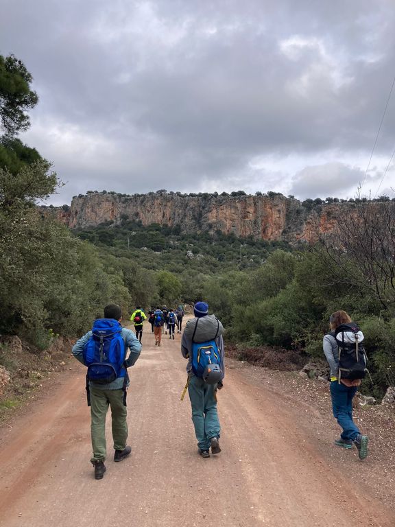 Gruppe von Wanderern mit Rucksäcken auf einem breiten Waldweg vor einer Felswand unter bewölktem Himmel
