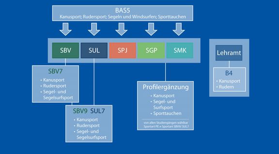 Diagramm zur Einbindung der Sportarten Kanusport, Rudersport, Segeln, Windsurfen und Sporttauchen (BAS5 Wassersport) in verschiedene Studiengänge: SBV, SUL, SPJ, SGP und SMK. Über SBV und SUL führen Vertiefungen (z.B. SBV7 Kanu-, Ruder-, Segel- und Segelsurfsport) zu weiteren Modulen wie SBV9/SUL7. Zusätzlich gibt es eine Profilergänzung Wassersport für alle Studiengänge sowie Kanusport und Rudern im Lehramt (B4).
