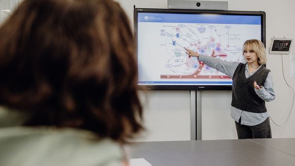 Person stellt Präsentation am Monitor vor

