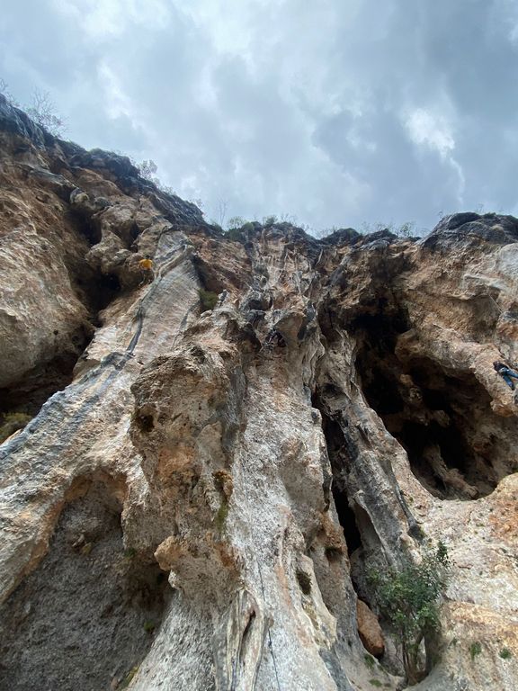 Felsformation mit unregelmäßigen Vertiefungen und spärlicher Vegetation unter bewölktem Himmel
