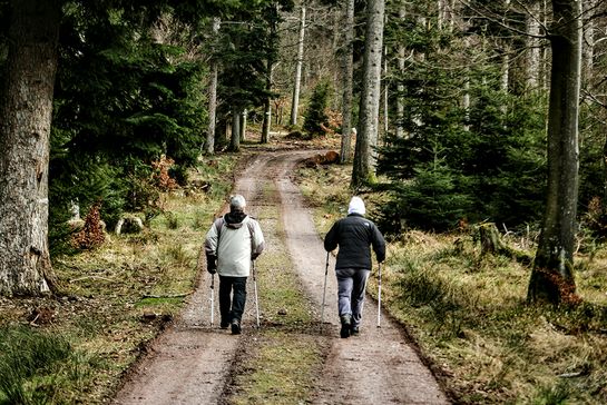 Zwei Personen spaieren auf einem Feldweg im Wald