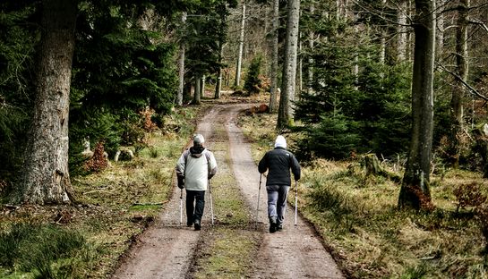 Zwei Personen spaieren auf einem Feldweg im Wald
