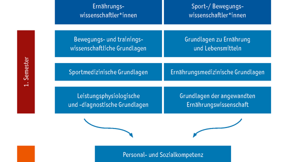 Master Sport, Bewegung und Ernährung, Studienmodule

