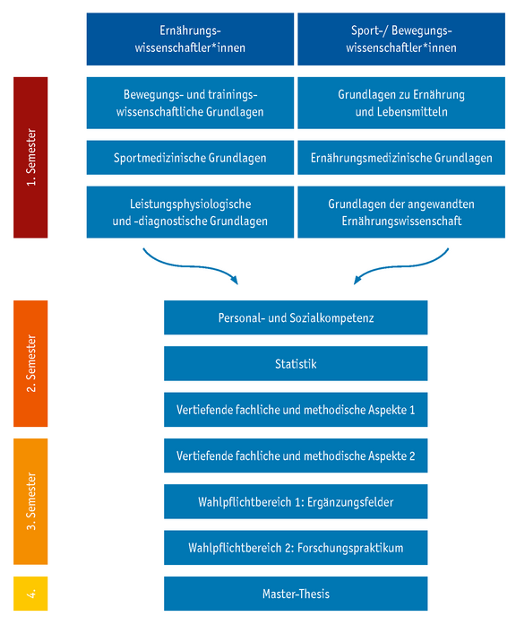 Master Sport, Bewegung und Ernährung, Studienmodule
