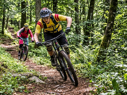 Zwei Mountainbiker fahren auf einem schmalen Waldweg, umgeben von dichtem Grün und Bäumen
