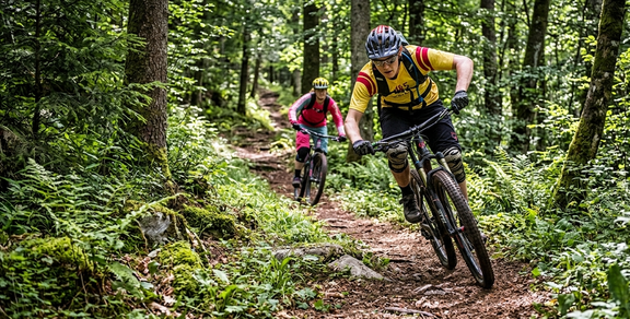 Zwei Mountainbiker fahren auf einem schmalen Waldweg, umgeben von dichtem Grün und Bäumen
