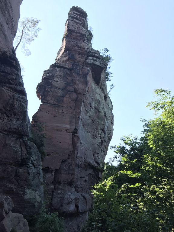 Hoher, schmaler Felsenturm mit unregelmäßiger Oberfläche umgeben von Bäumen
