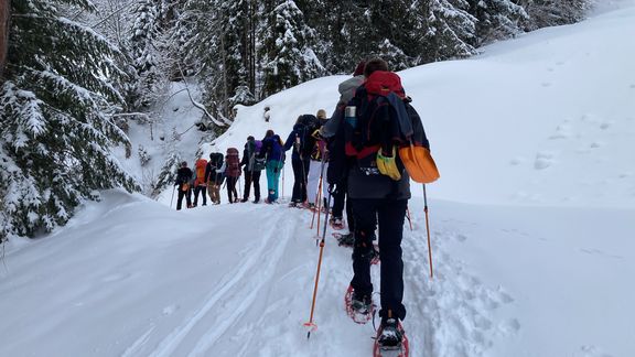 Gruppe von Menschen mit Rucksäcken und Schneeschuhen wandert auf verschneitem Waldweg
