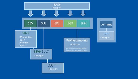 Diagramm zur Einbindung der Sportart Radsport (BAS5) in verschiedene Studiengänge: SBV, SUL, SPJ, SGP und SMK. Über SBV und SUL führen Vertiefungen (z.B. SBV7 Mountainbike- und Rennradsport) zu weiteren Modulen wie SBV9/SUL7 und SUL1. Zusätzlich gibt es eine Profilergänzung Radsport für alle Studiengänge sowie Radsport im Lehramt (GRF).
