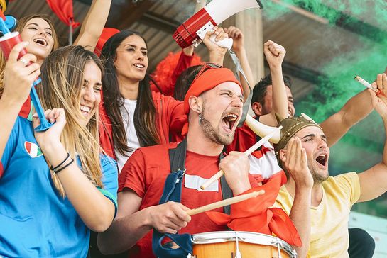 Fans jubeln im Stadion