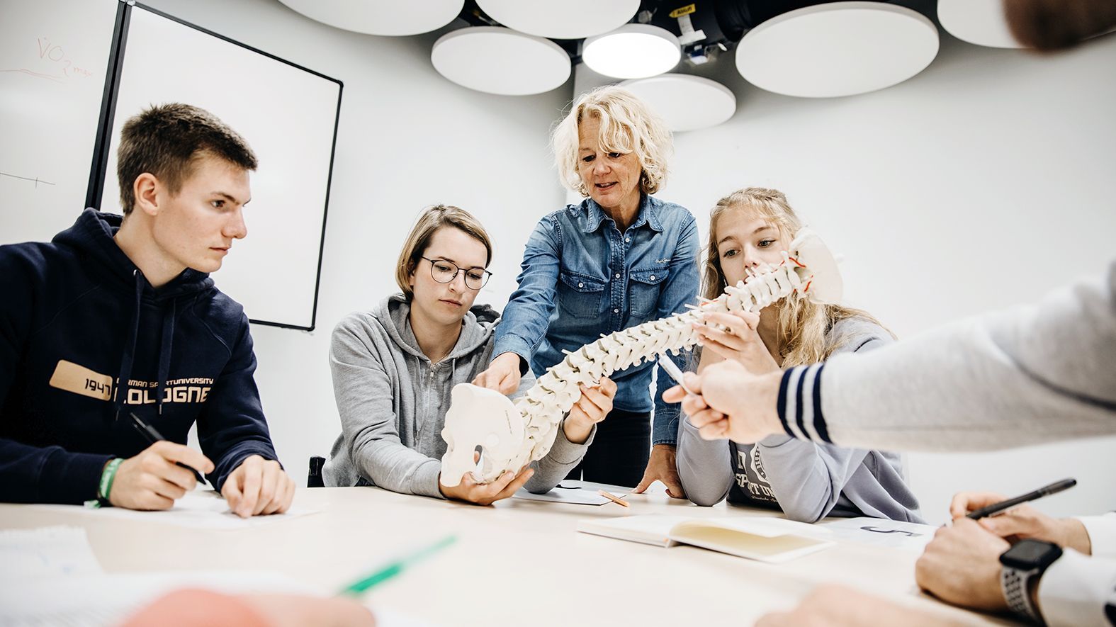  Studierende betrachten in Gruppenarbeit Modell einer Wirbelsäule und eines Beckens
