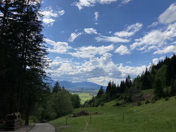 Blick ins Tal mit Wiesen, Bäumen und Bergen unter bewölktem Himmel
