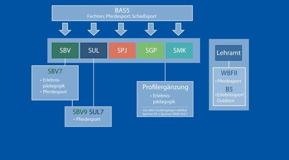 Diagramm zur Einbindung der Sportarten Fechten, Pferdesport und Schießsport (BAS5) in verschiedene Studiengänge: SBV, SUL, SPJ, SGP und SMK. Über SBV und SUL führen Vertiefungen (z.B. SBV7 Erlebnispädagogik und Pferdesport) zu weiteren Modulen wie SBV9/SUL7. Zusätzlich gibt es eine Profilergänzung Erlebnispädagogik für alle Studiengänge sowie Pferdesport und Erlebnissport Outdoor im Lehramt (WBFII und B5).
