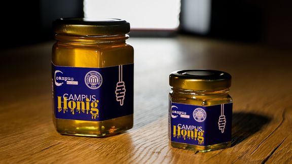 zwei honiggläser auf holzplatte, links ein großes, rechts ein kleines glas mit dunkelblauem etikett und weißer und gelber aufschrift, gefüllt mit goldenem honig und verschlossen mit einem flachen, goldenen Deckel
