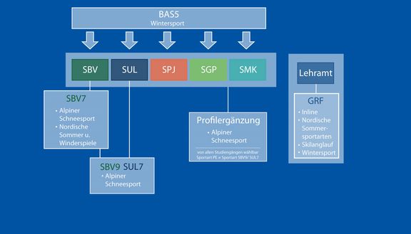 Diagramm zur Einbindung der Sportart Wintersport (BAS5) in verschiedene Studiengänge: SBV, SUL, SPJ, SGP und SMK. Über SBV und SUL führen Vertiefungen (z.B. SBV7 Alpiner Schneesport, Nordische Sommer- und Winterspiele) zu weiteren Modulen wie SBV9/SUL7. Zusätzlich gibt es eine Profilergänzung Alpiner Schneesport für alle Studiengänge sowie verschiedene Wintersportarten im Lehramt (GRF).
