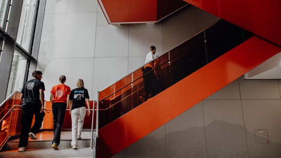 Studierende gehen eine Treppe in einem Gebäude der Deutschen Sporthochschule hoch
